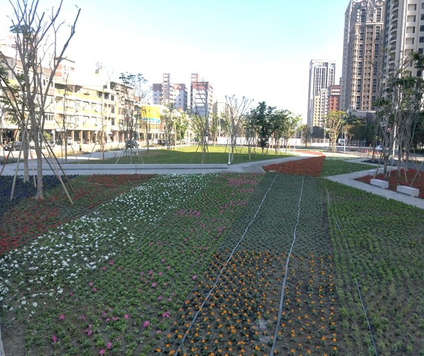 高雄市園道範圍喬木種植情形