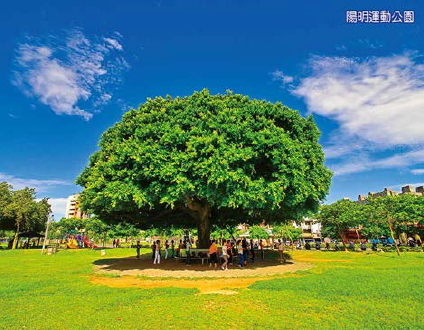 桃園市陽明運動公園