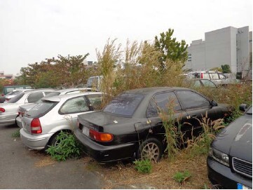 臺南市拖吊保管場車輛