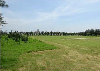 新竹市政府辦理沿海十七公里觀光景點植栽種植