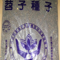 種苗場販售之綠肥種子
