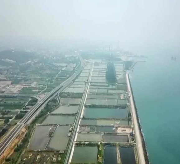 苗栗縣通霄海水養殖專業區