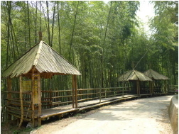 雲林縣古坑鄉石壁地區五元二角涼亭及步道