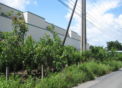 高雄市轄區內不符地價稅減免規定之土地