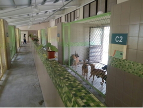 高雄市燕巢動物保護關愛園區