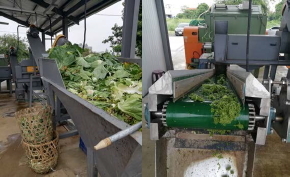 豐原農產品股份有限公司有機質廢棄物破碎脫水處理系統設備運作情形