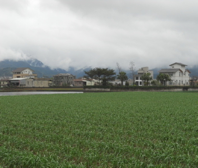土地興建農舍