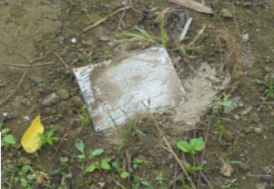 花蓮縣地下水監測井損毀情形