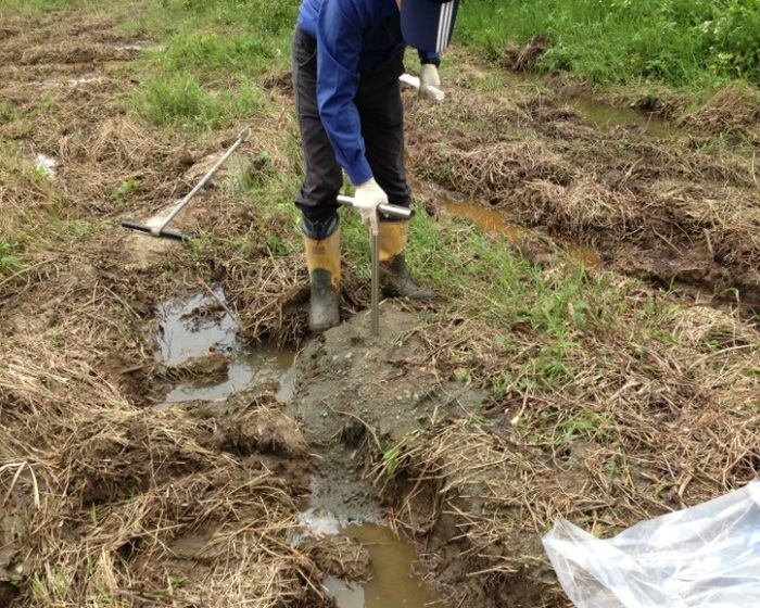 檢測頂山腳加壓站工程用地遭重金屬污染情形