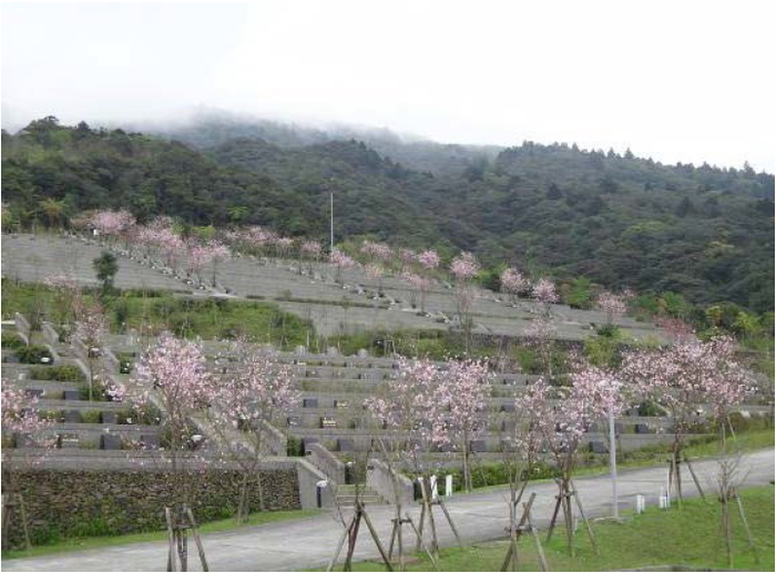 Cherry Orchard Cemetery