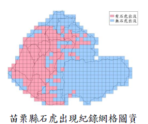 苗栗縣石虎出現紀錄網格圖資