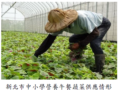 新北市中小學營養午餐蔬菜供應情形