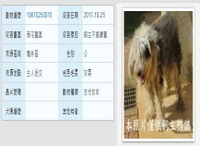 臺中市收容動物公告