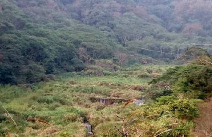 南投縣仁愛鄉東眼山溪防砂霸下游護岸現況