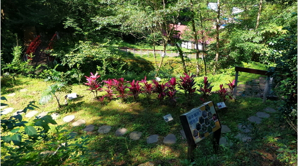 國家藥用植物園現況相片