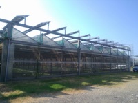 溫網室屋頂附屬綠能設施