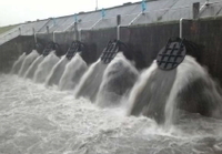 新北市湳仔溝抽水站抽水情形