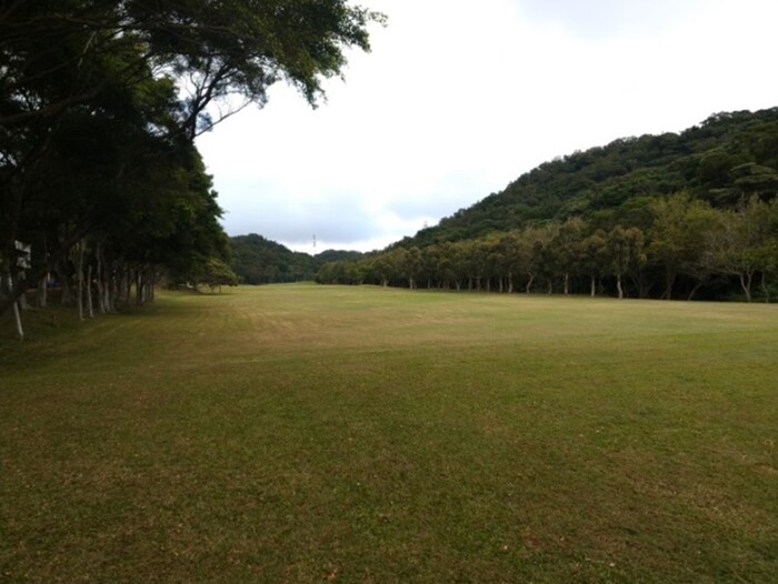 M9504計畫場址實況