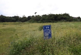 嘉義市下埤段解除列管之農地