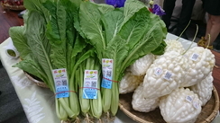 貼吉園圃安全蔬果標章之蔬菜