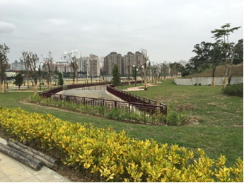 新北市土城暫緩發展區土地重劃後一景
