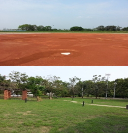 臺南市仁德中洲社區棒壘球場及休憩公園