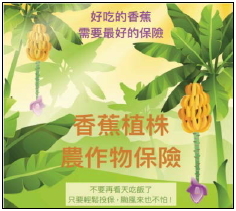 香蕉植株農作物保險宣傳海報