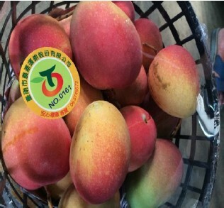 mango in Tainan