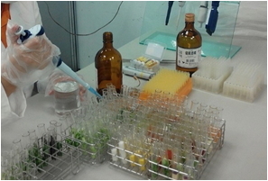 農藥殘留檢驗作業情形
