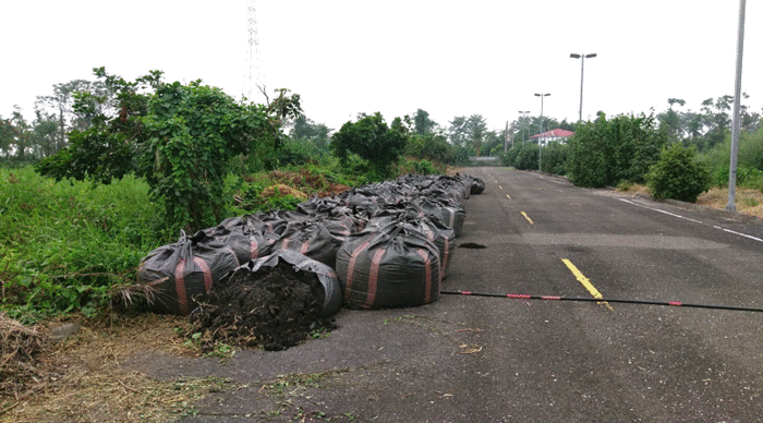 太空包裝污泥餅暫置六塊厝污水處理廠旁道路情形