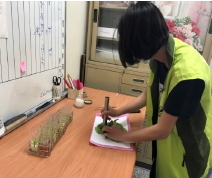 新竹農產運銷股份有限公司蔬果農藥殘留快速檢驗實況