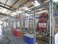 新竹市動物收容所