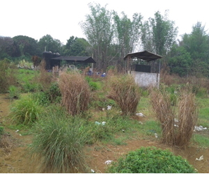 臺南市永康區第一公墓遷葬後土地閒置