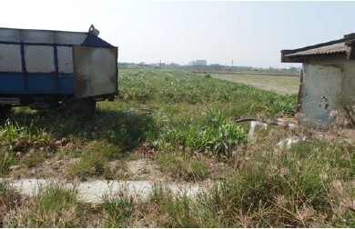 臺南市欣安牧場將處理後廢水載運至農田施灌