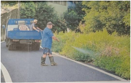公所採購除草劑僱工噴灑道路兩旁