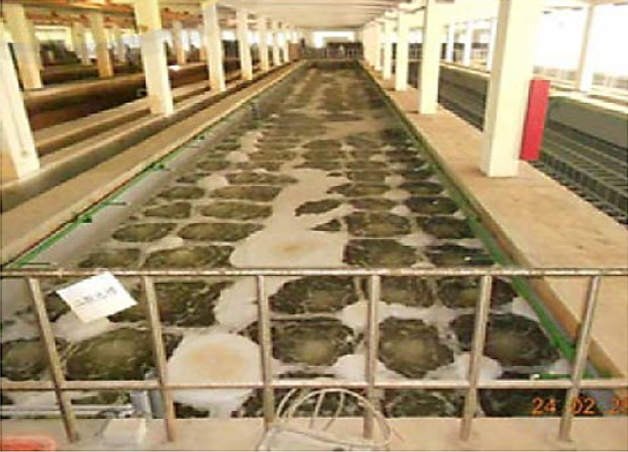 高雄市岡山本洲污水處理廠曝氣池設施