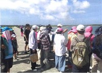 澎湖縣青螺濕地探訪研習活動