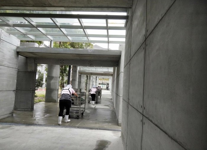 花蓮縣花崗國民中學廚房送餐專用風雨走廊使用情形