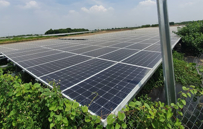 嘉義縣義竹鄉第16公墓建置太陽光電發電設備