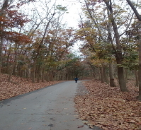 臺南市龍崎區可果美產業道路