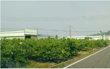 地方稅款