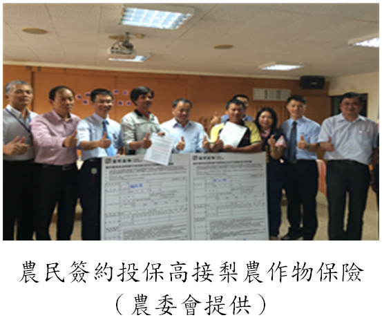 農民簽約投保高接梨農作物保險