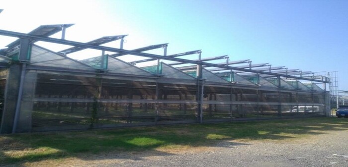 農地溫(網)室屋頂架設太陽光電設備情形