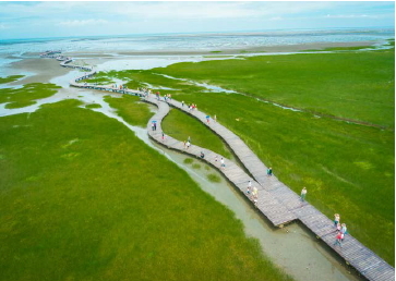 Gaomei Wetlands