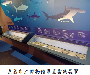 嘉義市立博物館眾鯊雲集展覽