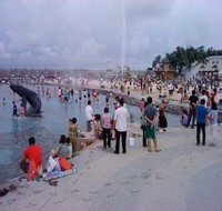 Dongshih Fishing Port