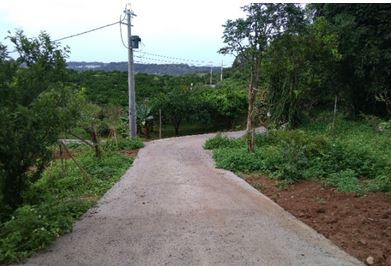 苗栗縣三灣鄉公所道路修復工程