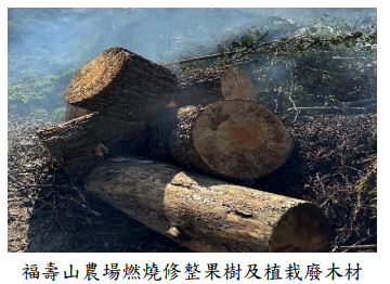 福壽山農場燃燒修整果樹及植栽廢木材