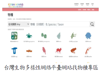 台灣生物多樣性網絡平臺網站找物種專區圖片