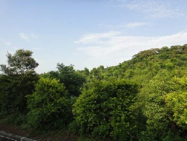 彰化市草子埔垃圾衛生掩埋場復育後景觀